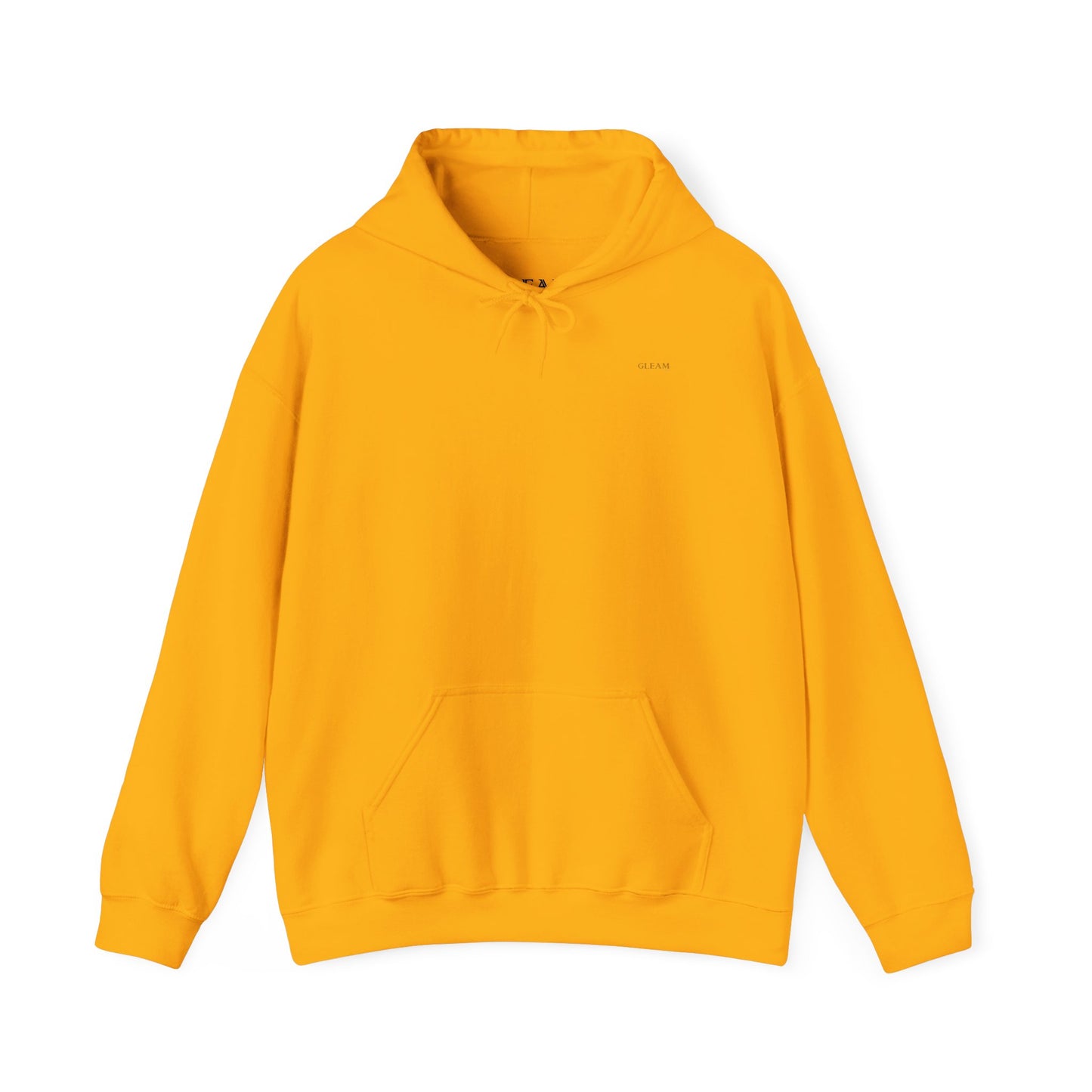 Golden Fish Hoodie